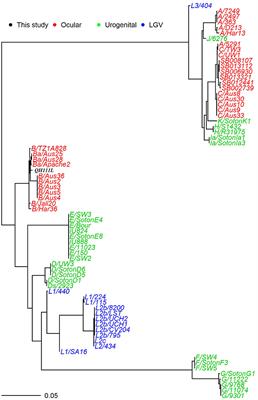 Survey, Culture, and Genome Analysis of Ocular Chlamydia trachomatis in Tibetan Boarding Primary Schools in Qinghai Province, China